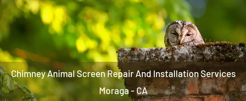  Chimney Animal Screen Repair And Installation Services Moraga - CA
