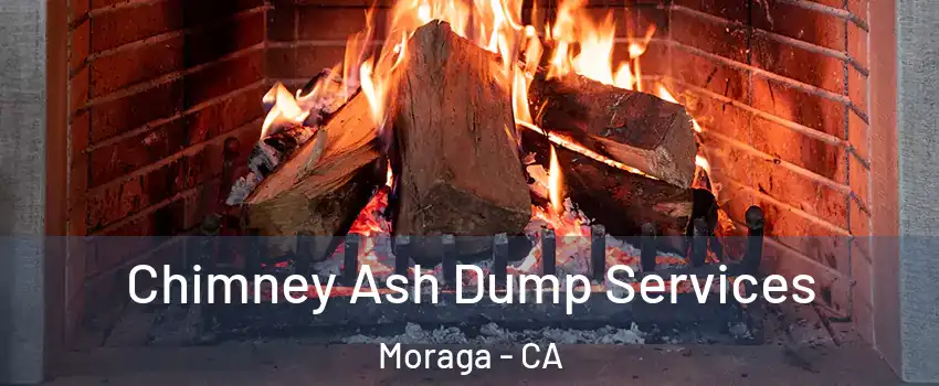  Chimney Ash Dump Services Moraga - CA