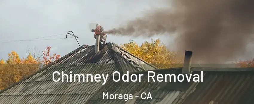 Chimney Odor Removal Moraga - CA