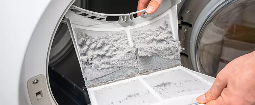 Best Dryer Lint Removal Company in Moraga, California