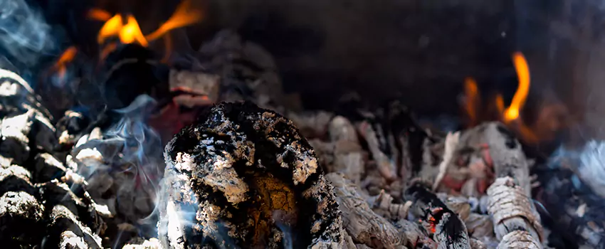 Creosote Removal Experts in Moraga, CA