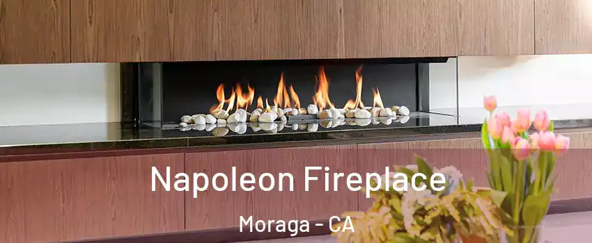  Napoleon Fireplace Moraga - CA